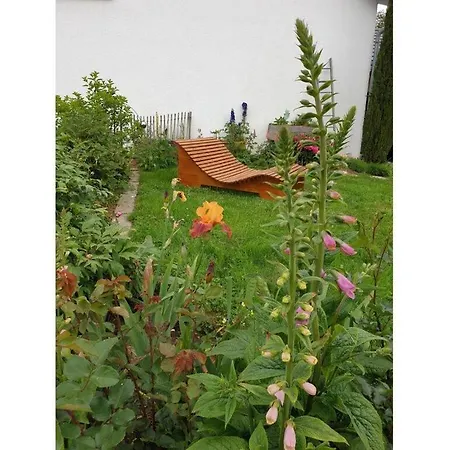 In The Rose Garden Biberach bei Offenburg