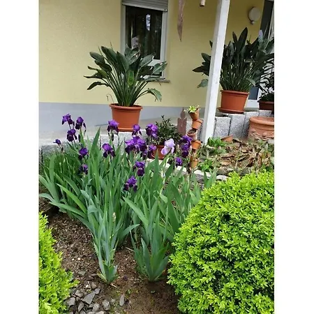 In The Rose Garden Apartment *