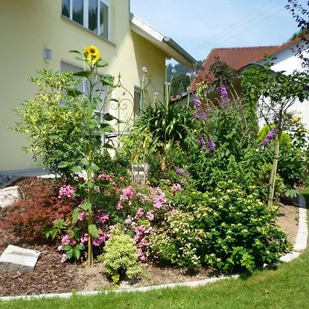 In The Rose Garden Apartment